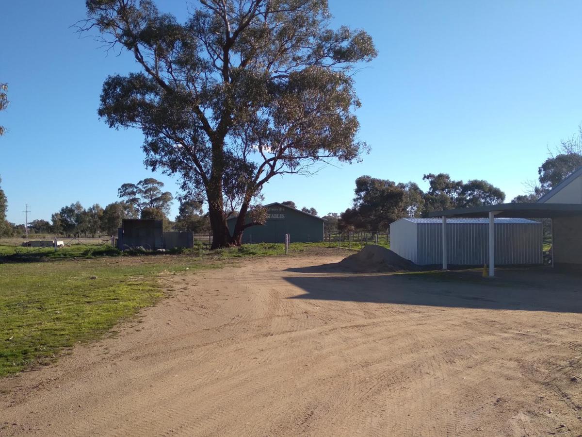 Allonville Gardens Motel Wagga Wagga Exterior foto