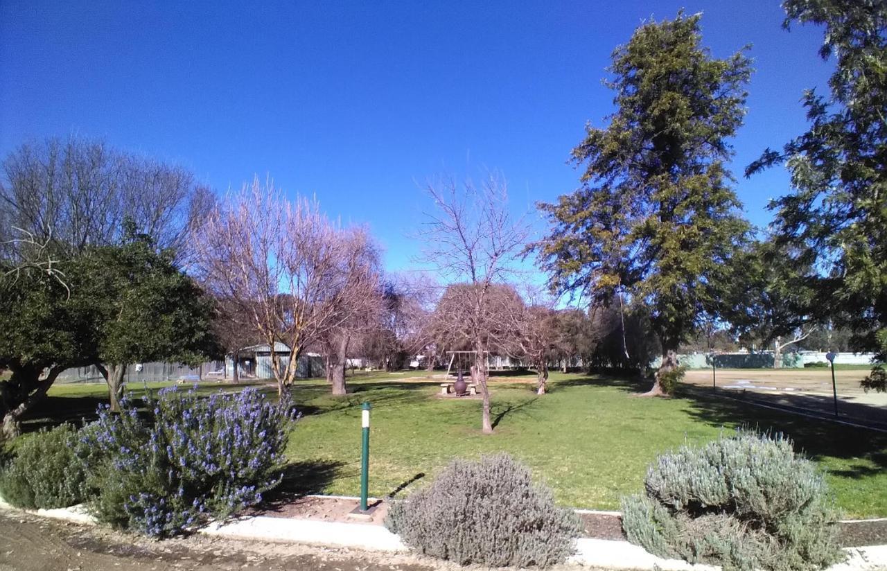 Allonville Gardens Motel Wagga Wagga Exterior foto